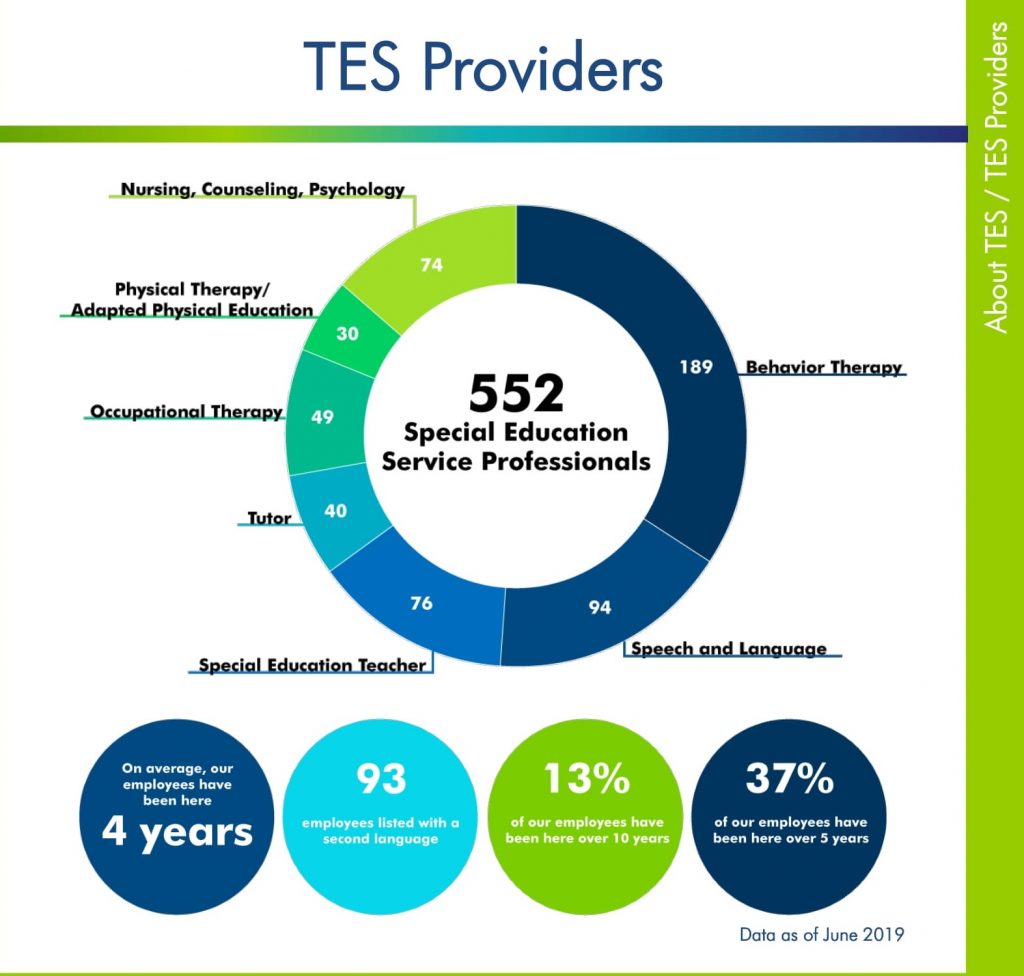 Our Services Booklet p3. TES provider type breakdown