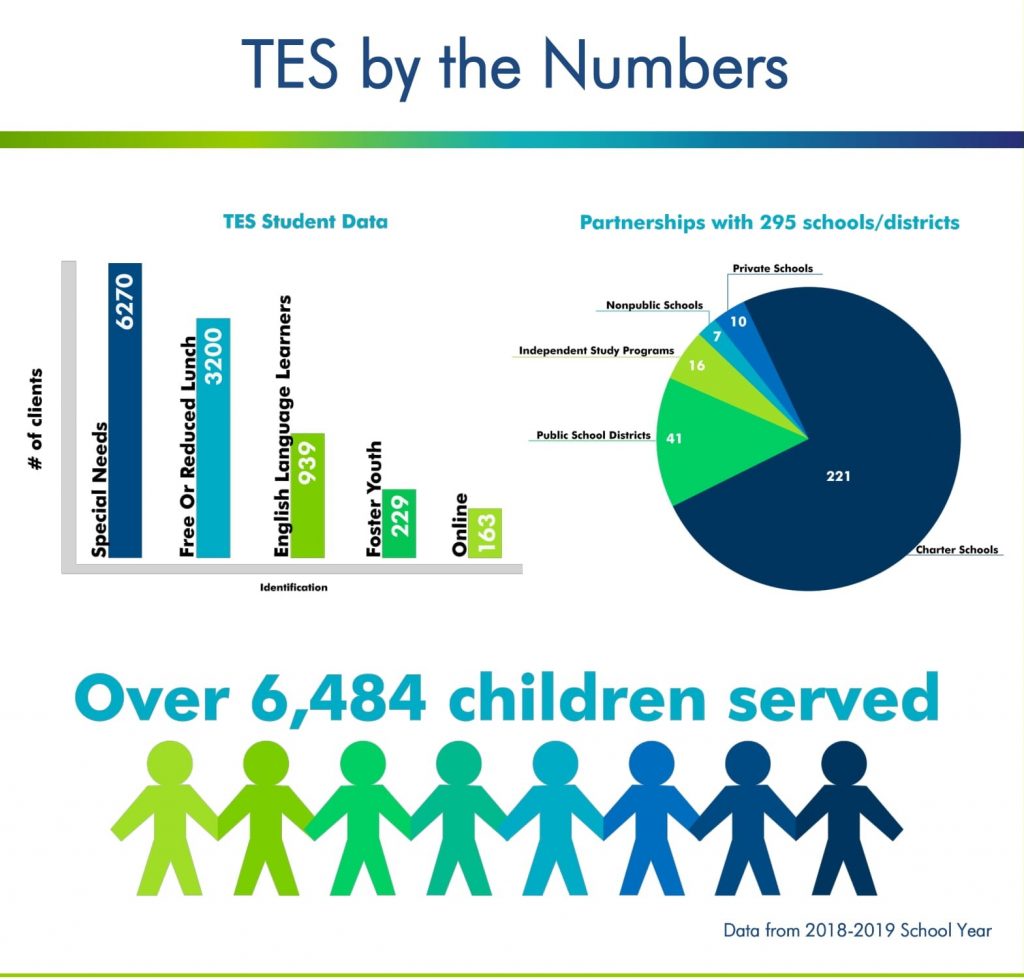 Our Services Booklet p1. TES by the numbers